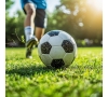 Slvie 06 Foot inter-services et Slvie