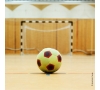 Slvie 01 Initiation foot en salle