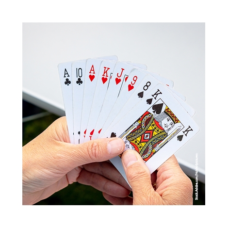 Mayenne Slvie 07 Belote de février