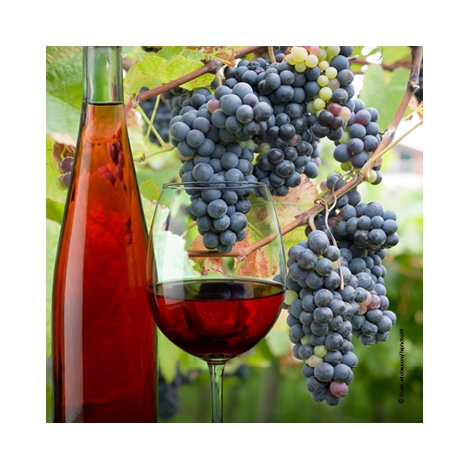 Le Mans Slvie 01 Soirée œnologie