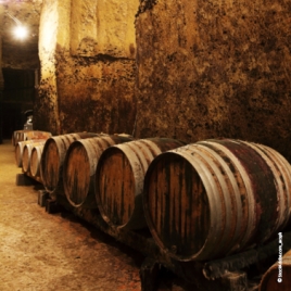 Slvie 05 " visite caves et rotonde ferroviaire