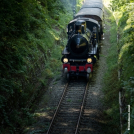 Cholet - Slvie 12 - Chemin de fer de Vendée