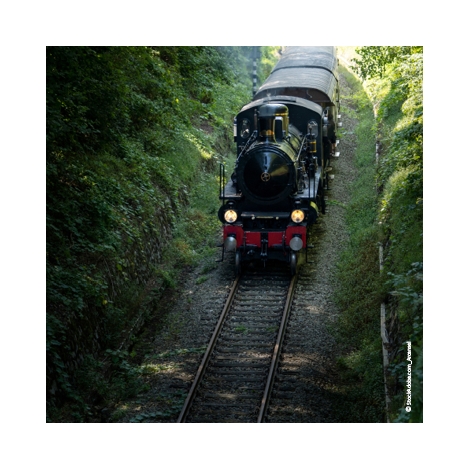 Cholet - Slvie 12 - Chemin de fer de Vendée