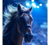 Slvie 03 Le Festin des Royaumes Equestres