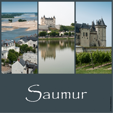 Slvie 03 - A la découverte des trésors SAUMUROIS