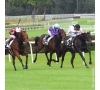 Slvie 08 - Sortie à l'hippodrome de Craon